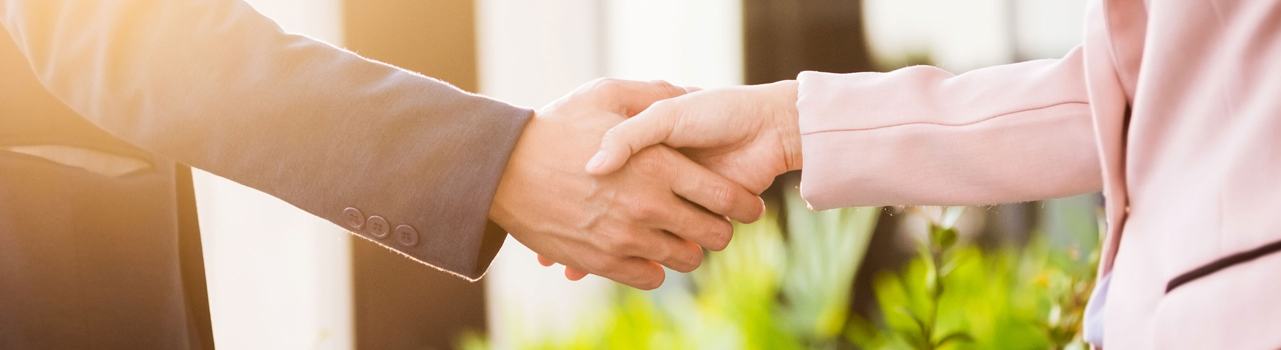 Personen geben sich die Hand als Symbol für eine Zusammenarbeit.